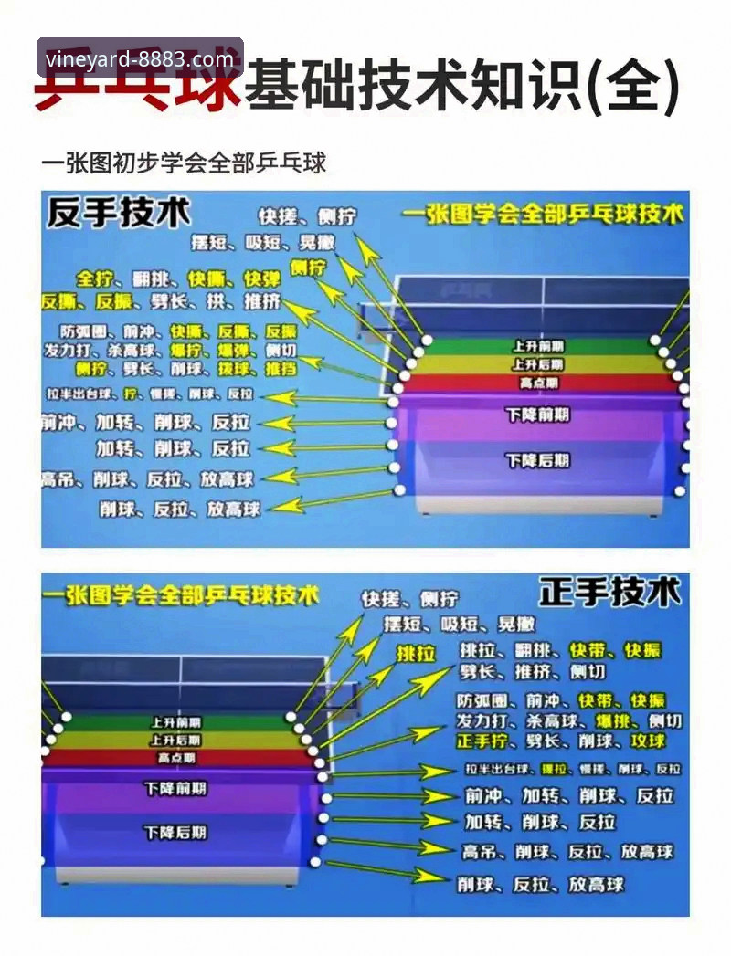 新葡萄官网安卓版下载安卓版 新葡萄娱乐平台看球指南:从林诗栋到梁靖崑的乒乓战术解析教程